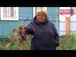 Embedded thumbnail for Обком-ТВ: Исилькульцы остались без урожая